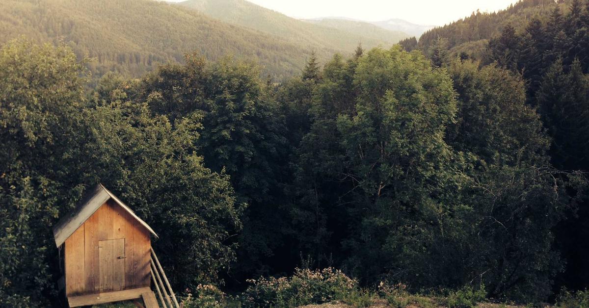 Small Living Room Furniture Arrangement for Hybrid Work Setup: 12 Layouts That Actually Work